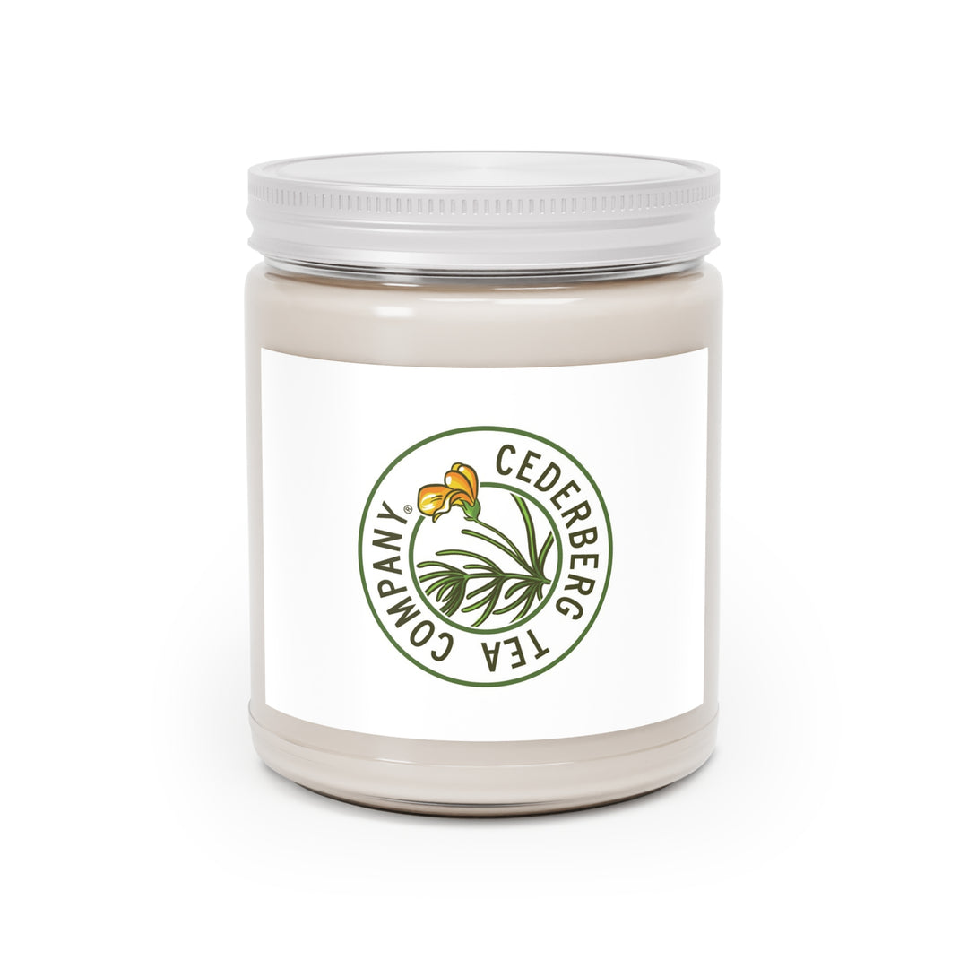 Cederberg 9oz Candle</br>Ginger - Cederberg Tea